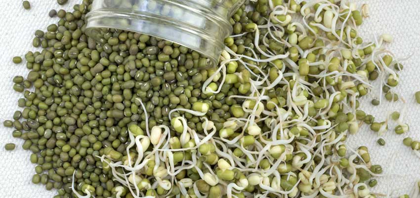 green gram sprouts benefits & side effects