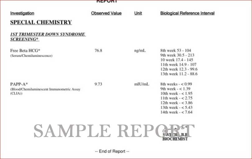 double marker sample report