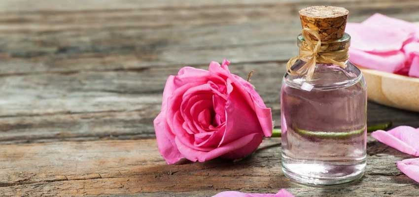 benefits of rose water