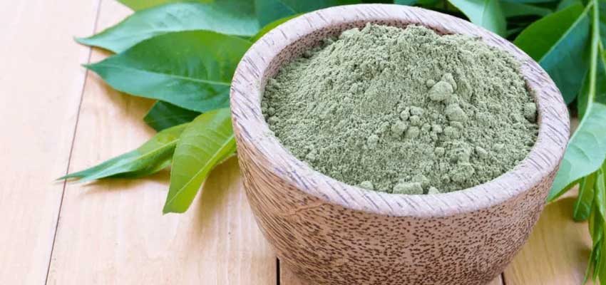 bhringraj powder benefits
