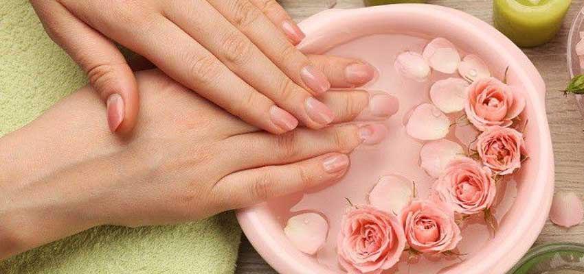 rose water beauty benefits for skin