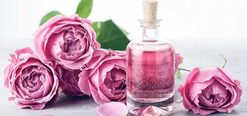 rose water benefits for face and skin, how to use