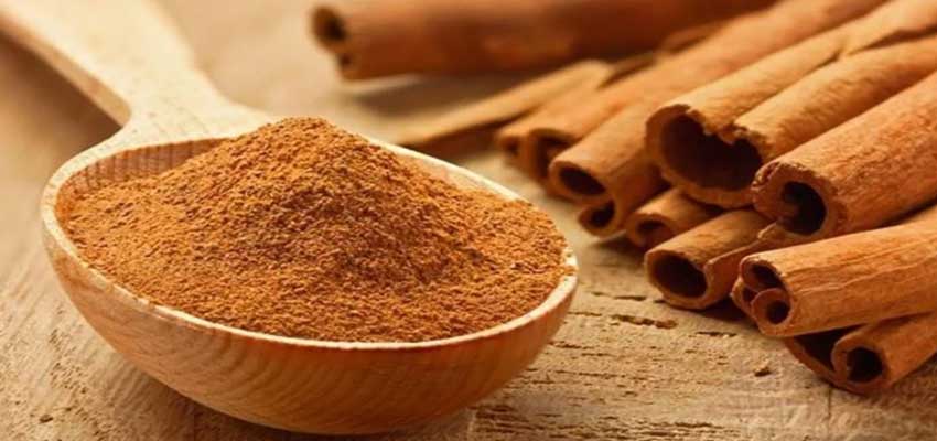 dalchini powder benefits