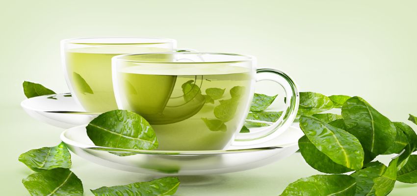 green tea preparation 
