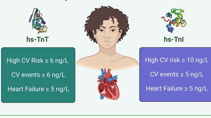 Troponin Test Test Procedure Normal Range Results Reports Online Troponin Test Test Procedure Normal Range Results Reports Online