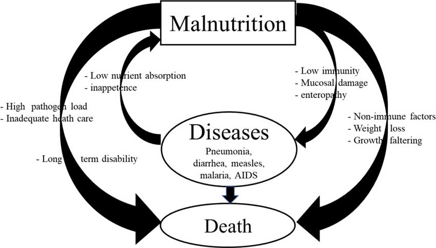 kwashiorkor mechanisms