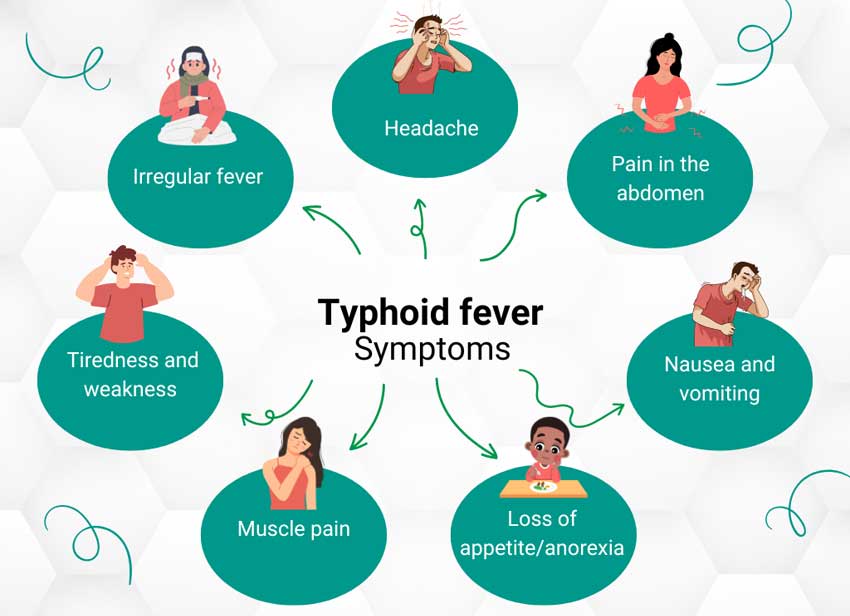 typhoid symptoms in hindi