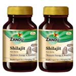 zandu shilajit capsules