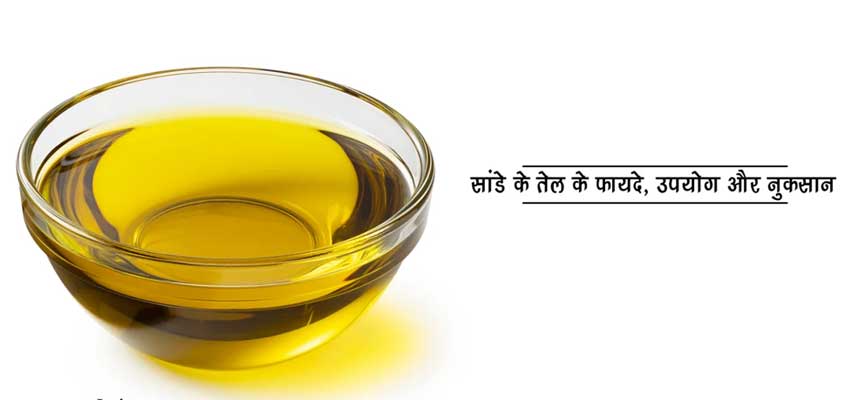 सांडे के तेल (Sanda Oil in Hindi) के फायदे, उपयोग, नुकसान व् पहचान ...