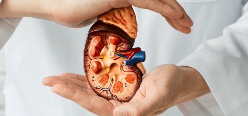 Diagnosis kidney transplant