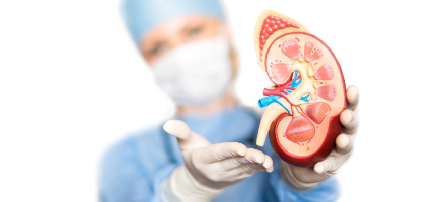 Kidney Transplant introduction