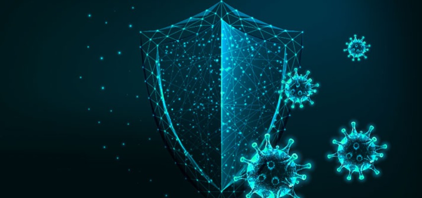 Benefits of good immunity