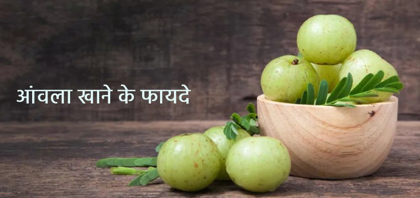 Amla-khane-ke-fayde