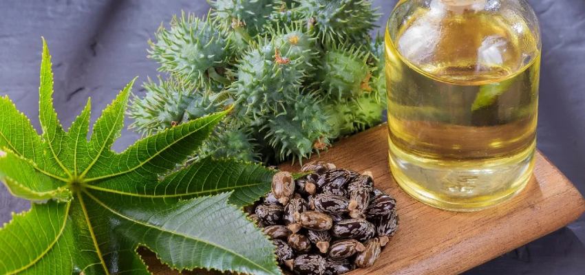 Castor Oil ke fayde