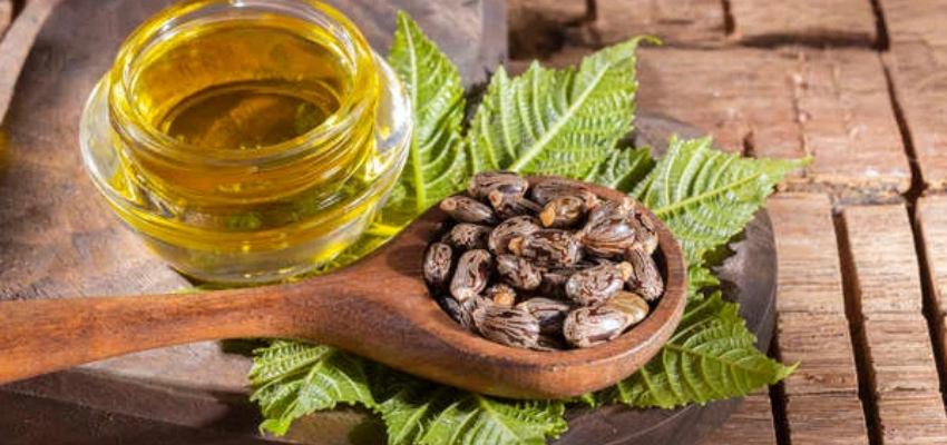 Castor Oil ke nuksan