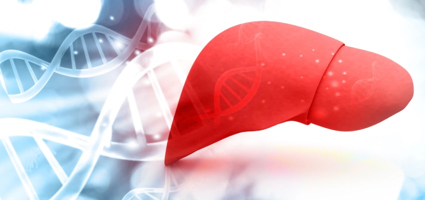 Tips for Preventing Fatty Liver