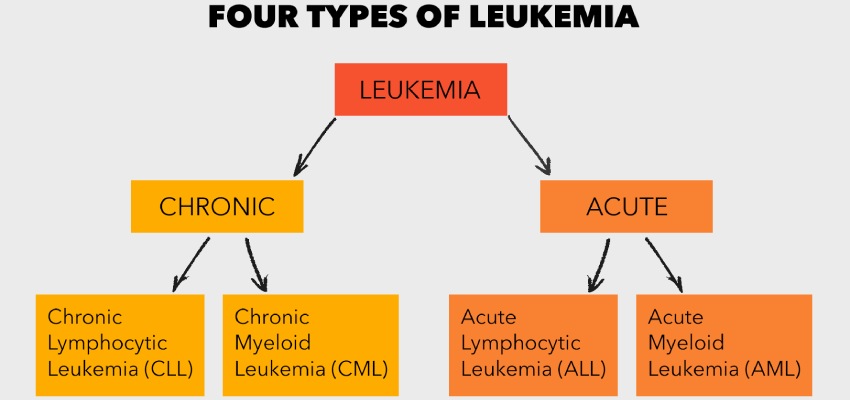 Types of leukaemia